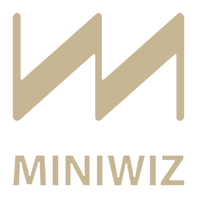 miniwiz1